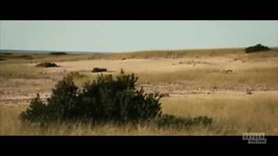 -I rode in the back seat
with hadden clark, - Lady of the Dunes: Hunting the Cape Cod Killer