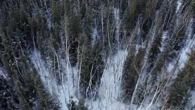 I'’ll leave these
here for now, - Life Below Zero: Next Generation