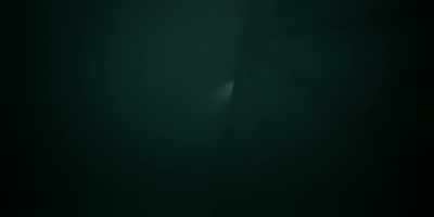 I’ve seen some fish down here
that shouldn’t exist. - The Rig