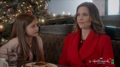 I run a veterinarian practice, - Christmas in Evergreen