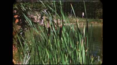 I was running through
magical gardens, flowers, - To End All War: Oppenheimer & the Atomic Bomb
