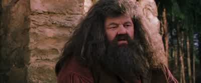 I said, "After Fluffy,a dragon's gonna be no problem." - Was he interested in Fluffy?- Of course he was interested. - Harry Potter and the Sorcerer's Stone