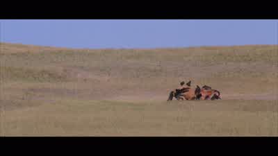I said eyes front! - Dances with Wolves