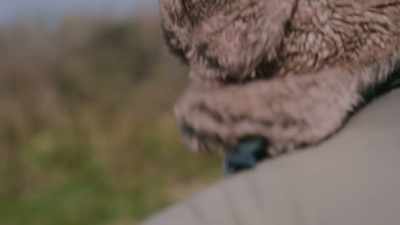 I said I was in,
but you asked more questions, - Sophie: A Murder in West Cork
