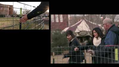 I said, I said,
"Gray and black bars." - Superhuman: The Invisible Made Visible