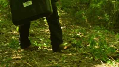 I said, "Is this the skull
to the torso?" - Homicide Hunter: Devil in the Mountains
