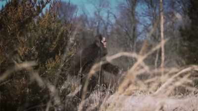 I said, "You've been
on Earth that long?" - Secrets of the Sasquatch
