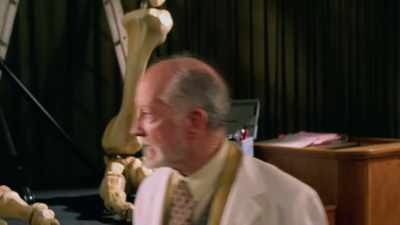 I saw an intervention
around the parietal lobe. - The Primevals