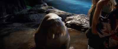 I saw that hand gesture. - 50 First Dates