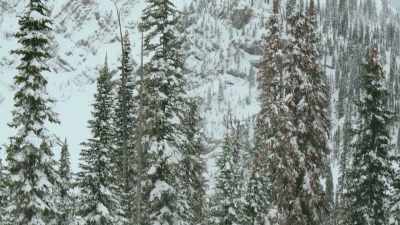 ♪ I saw you last night
outside the house ♪ - Love in Glacier National: A National Park Romance