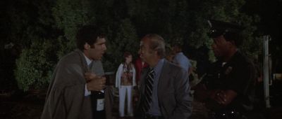 I saw that man who walked into the Pacific Ocean - The Long Goodbye