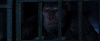 I saw men outside on the wall preparing for battle - War for the Planet of the Apes