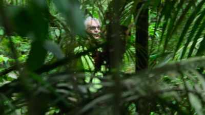 I saw the forest - Breaking Boundaries: The Science of Our Planet