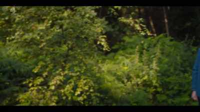 I saw her there every morning
for -- - Deadwater Fell