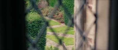 I saw him through the window. - Dodger