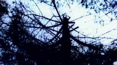 I sawed the top off, - Sophie: A Murder in West Cork
