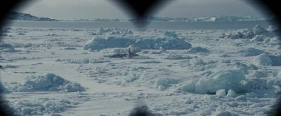 I see 'em What are they Leopard seals - Eight Below