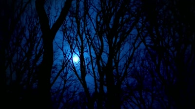 ♪ I see your evil ♪ - How I Caught My Killer