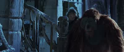 I see girl, I think you human. - War for the Planet of the Apes