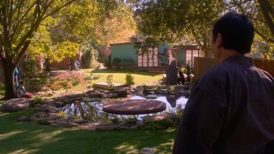 I see many little birds - Cobra Kai