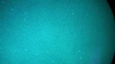 I see so many things
in the sky right now, - Jack Osbourne's Night of Terror: UFOs