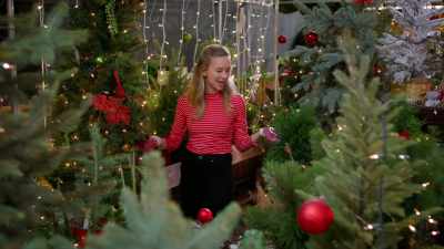 I see photosynthesis in action
and the difference between - Meet Me Under the Mistletoe