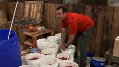 I see your plan
to win this competition
is to remove all plums - Moonshiners: Master Distiller