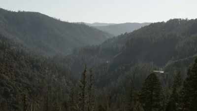 I see him sifting through the sand - Fire Country