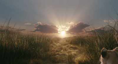 I see the place your mother
told you about, - Mufasa: The Lion King