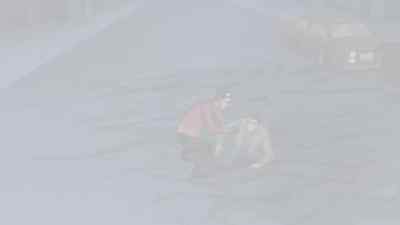 See there? - Generator Rex