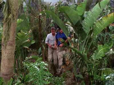 I SEE. WELL,
NOW, LET ME GET - Gilligan's Island
