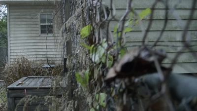 "'I see what you are feeling, '
replied Charlotte. - The Walking Dead