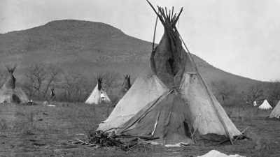 I see what she saw, - The American Buffalo