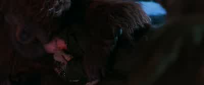 I see you look at her just now. - War for the Planet of the Apes