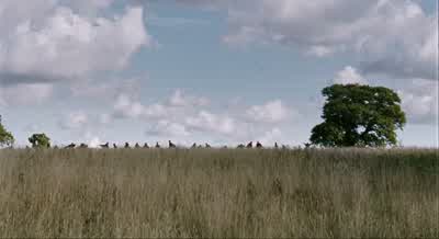 I see you! - 28 Weeks Later