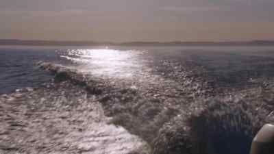 Seeing the humpbacks
and having her by my side - MILF Manor