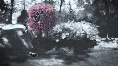 I sent them a picture. I said, - Trees and Other Entanglements