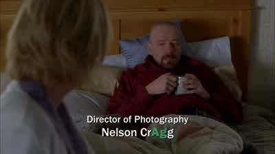 I seriously doubt it. - Breaking Bad