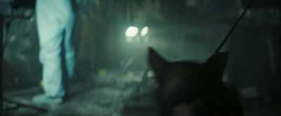I seriously...
I thought we were getting shot. - To Catch a Killer