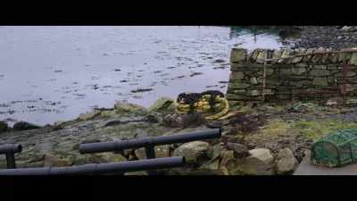 I should
be happy for her. - Billy & Molly: An Otter Love Story