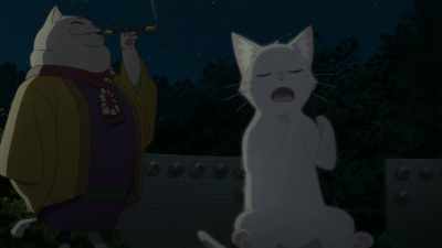 I should gather more information as Taro, - A Whisker Away