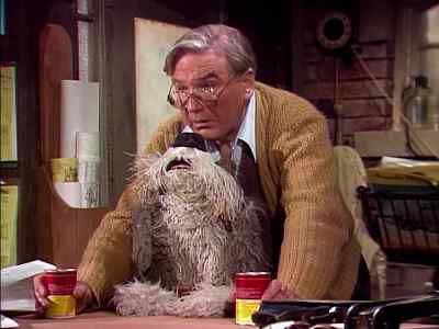 I shouldn't have asked that. - Fraggle Rock