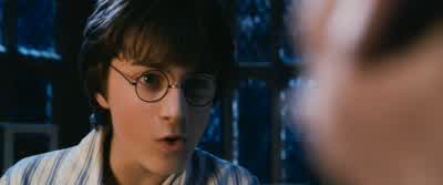 I shouldn't have said that - Harry Potter and the Chamber of Secrets