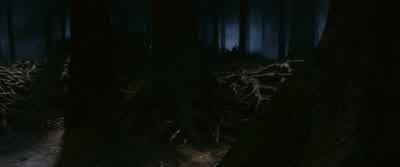 I shouldn't have told you that. - Harry Potter and the Philosopher's Stone