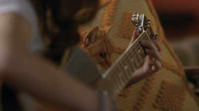 ♪ I should've stopped
when I had the chance ♪ - Cats & Dogs 3: Paws Unite