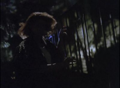 [ Shutter Slams ] - Quantum Leap