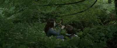 "I sincerely hope Anne's
lessons are progressing well." - Emily