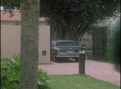 [Siren Wailing] - Miami Vice