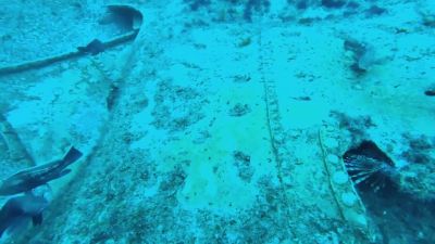 Sitting on the otherwise
featureless sandy bottom - Expedition Unknown