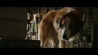 I smelled... - A Dog's Purpose